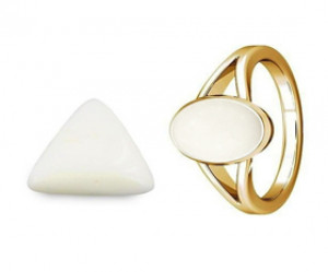 White Coral (Safed Moonga)